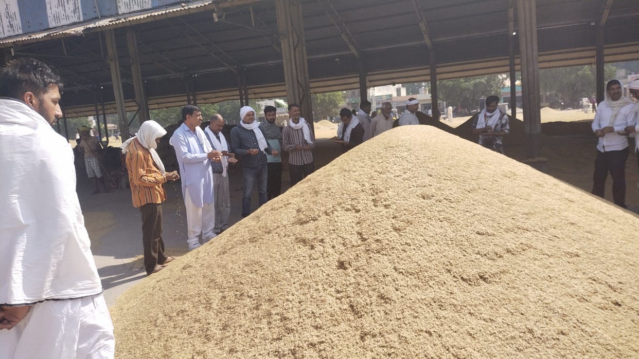 dhan khreed increese in local market
