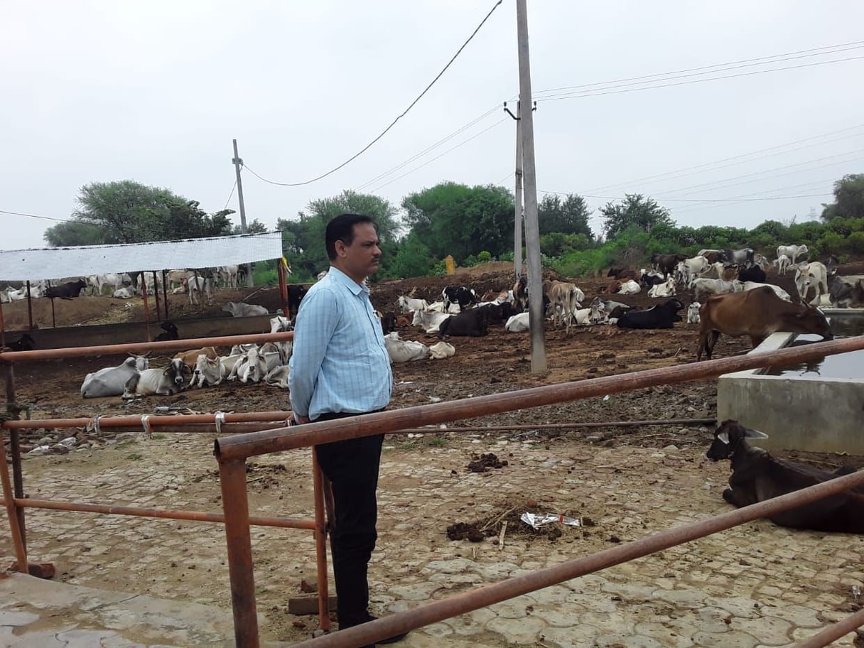auraiya news