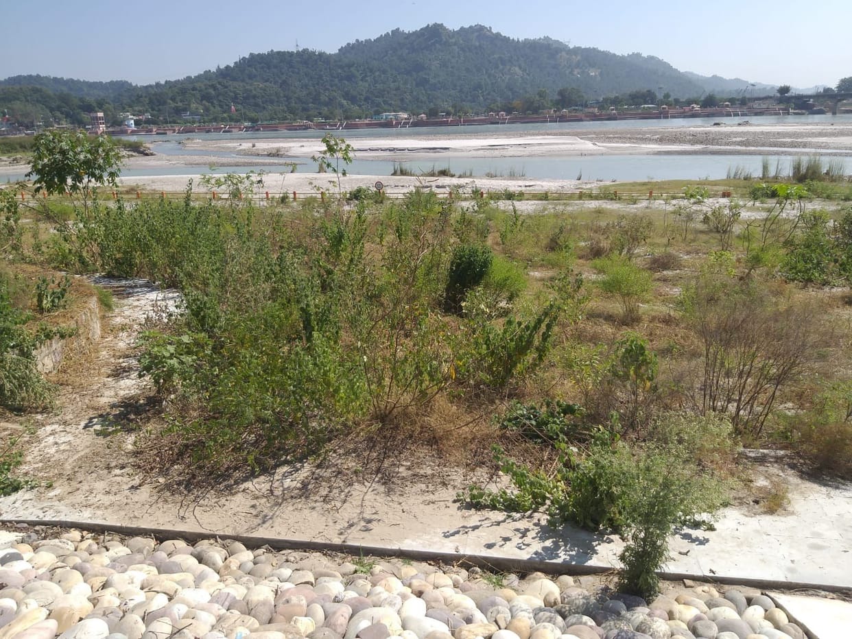 Faith in Aastha Park, less bushes, more
