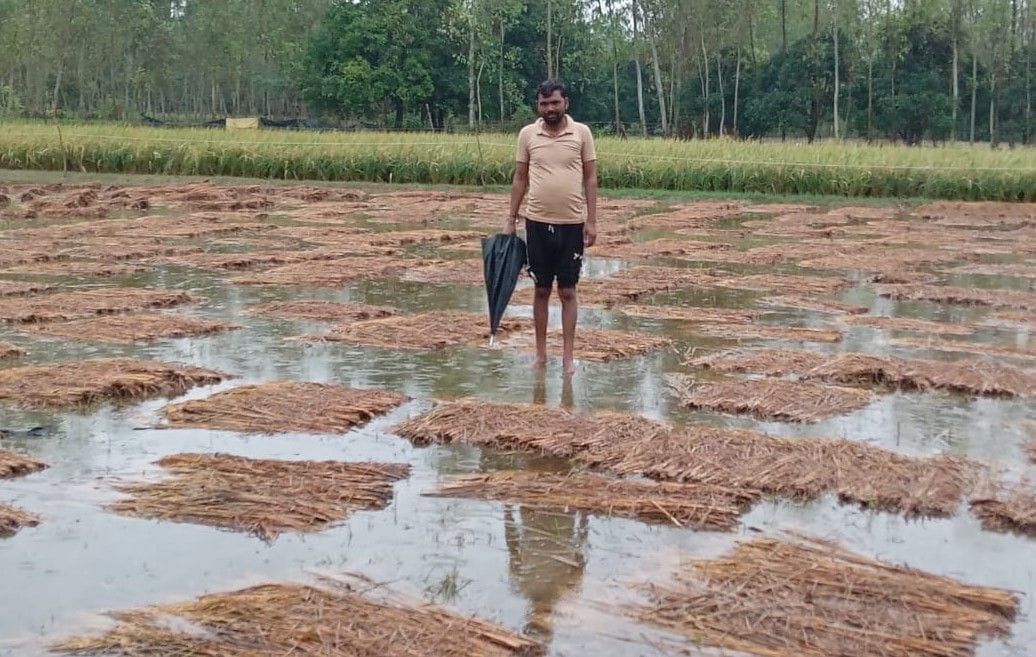The water started turning on the hard work of the farmers