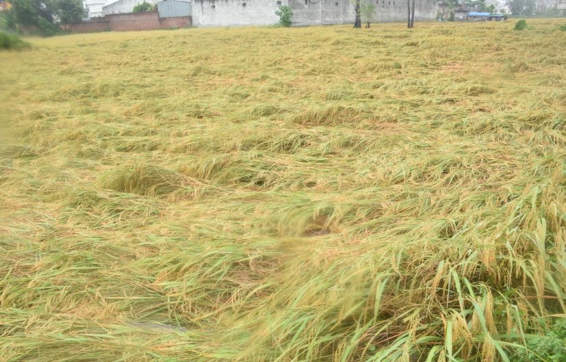 Farmers asked for compensation of 30 thousand rupees per acre