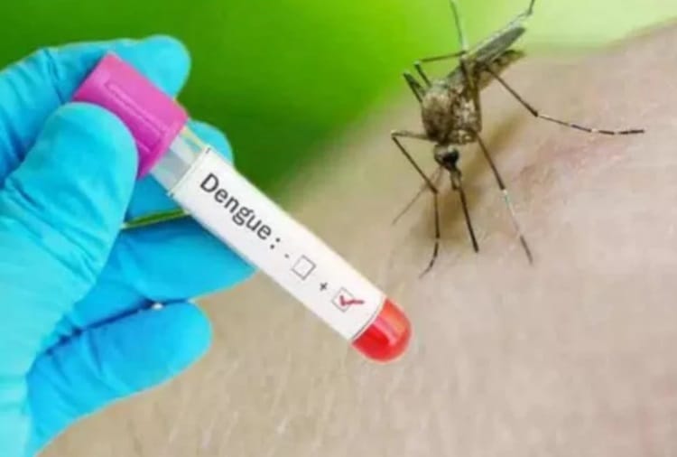Patients of Dengue is Increasing in Punjab
