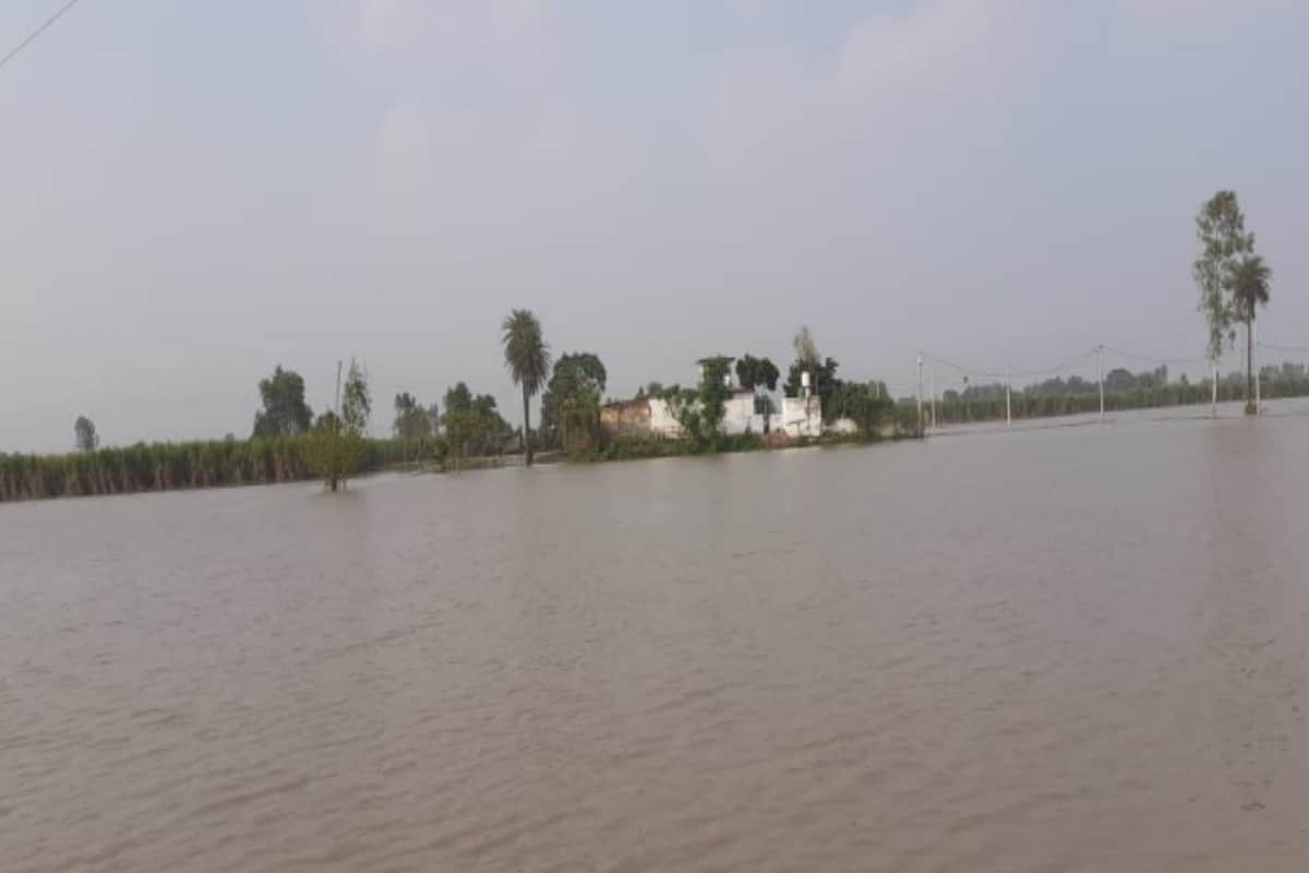 Ganga overflowing in Hastinapur, with many villages of Khadar area lost contaction
