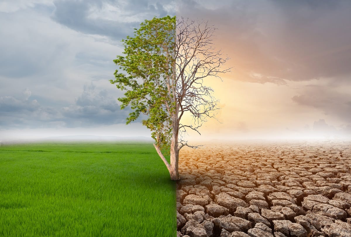 human-induced climate change warming world at unprecedented rate per decade Scientists Reveal