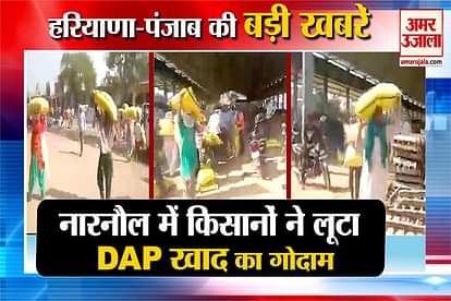 Farmers Robbed DAP Fertilizer In Narnaul Video Viral