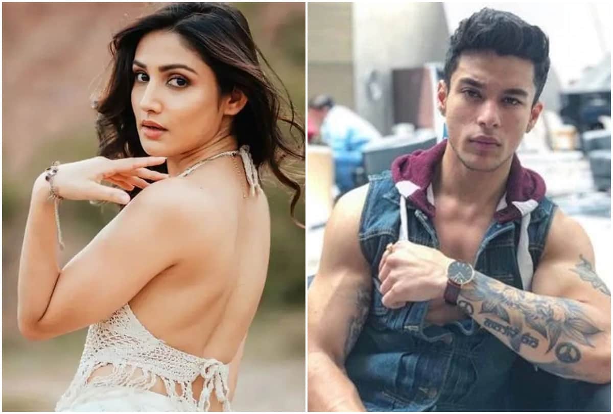 Bigg Boss 15: Some MBBS and some are graduates in engineering know how educated are the contestants BB15