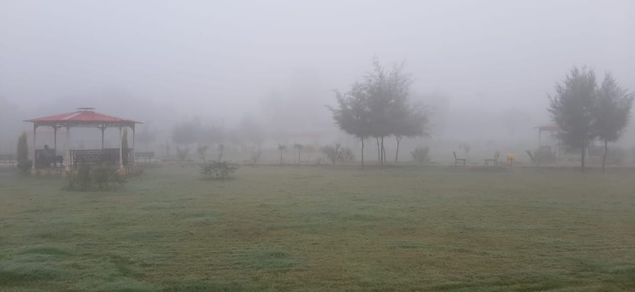 The district was seen covered in a sheet of mist, Yamunanagar