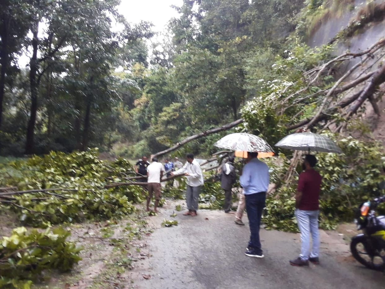 Road blocked due to falling trees and debris of rocks