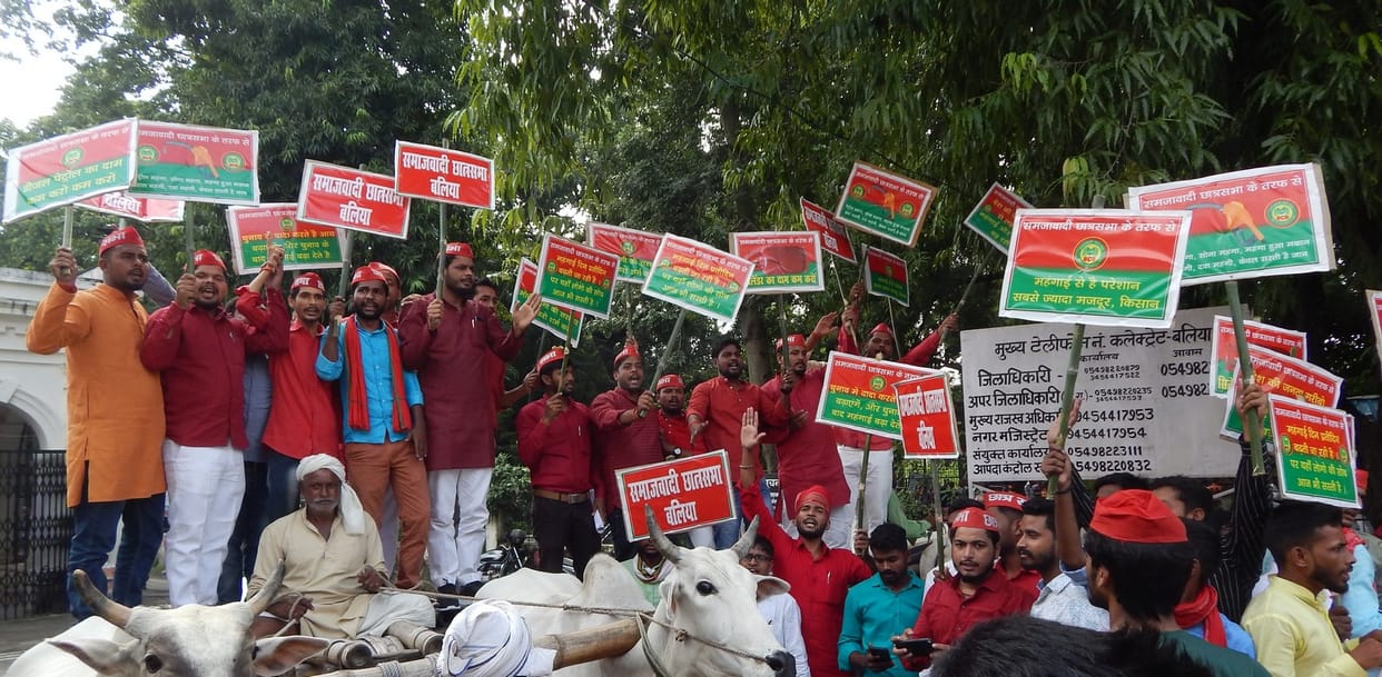 Sachas demonstrated in the collectorate against the prices of petrochemicals
