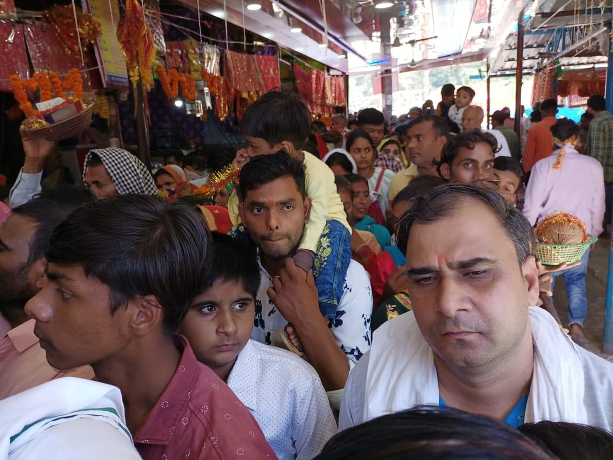 Devotees visited Maa Shakambhari on Chaturdashi