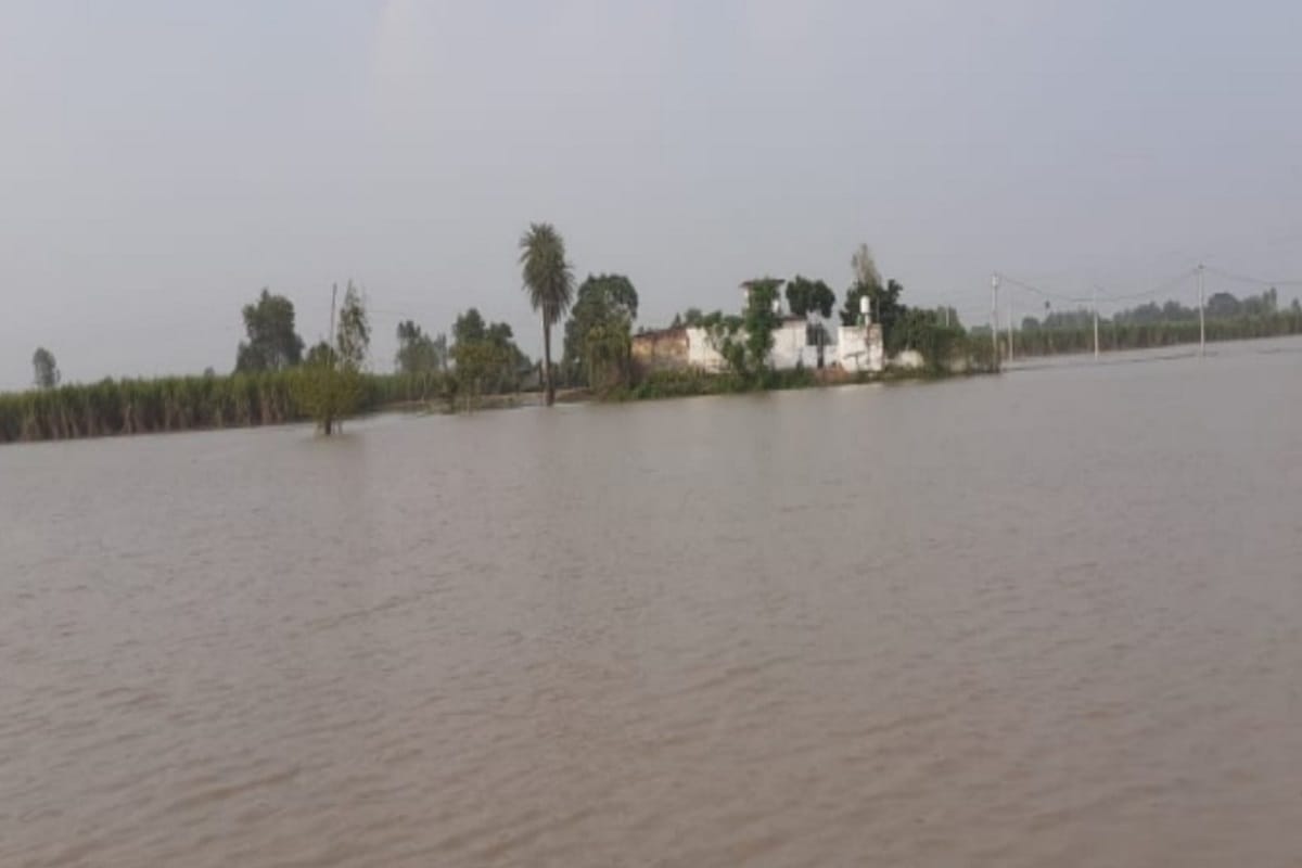 Ganga overflowing in Muzaffarnagar: water reached in many villages and crops are ruined in the city