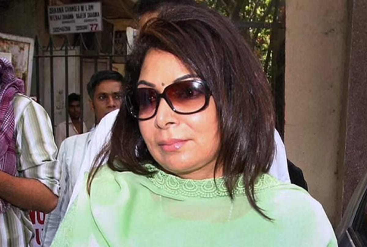 Niira Radia questioned by Economic offence wing for 4 hours in Rs 300 crore loan embezzlement case