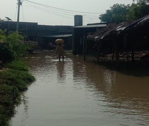Khadakpur village became an island with the water of Pandu river, 50 farmers got their crops