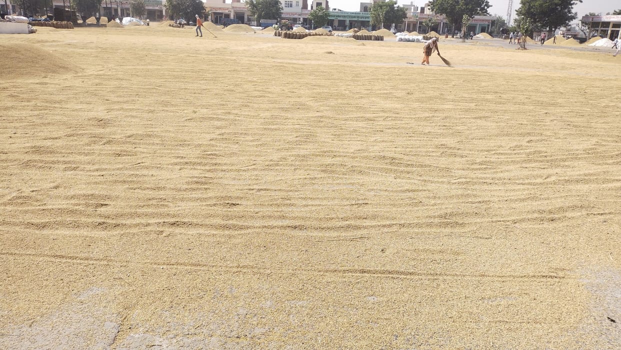 There may be crowd in the next two days due to the arrival of paddy of more moisture