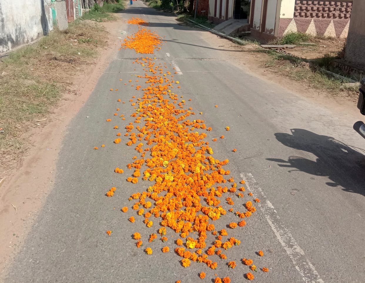 If dirty flowers were not sold in Delhi, the farmer scattered it on the road