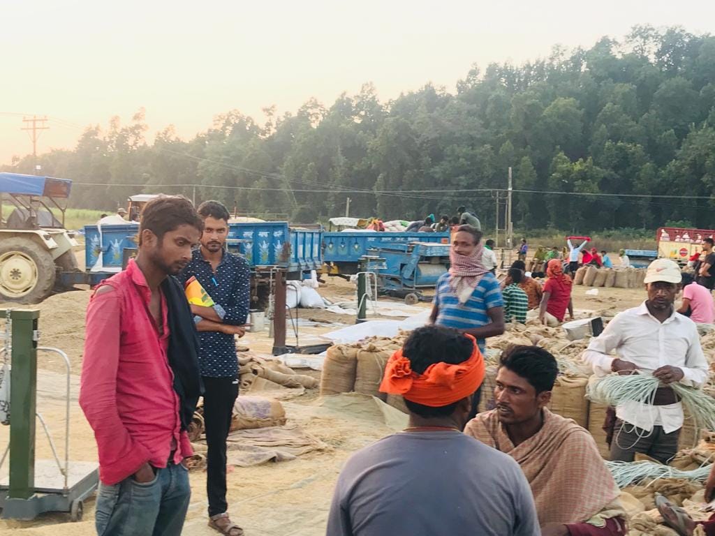 2768.9 kwintel dhaan purchaged  in  two center of sirmaur district