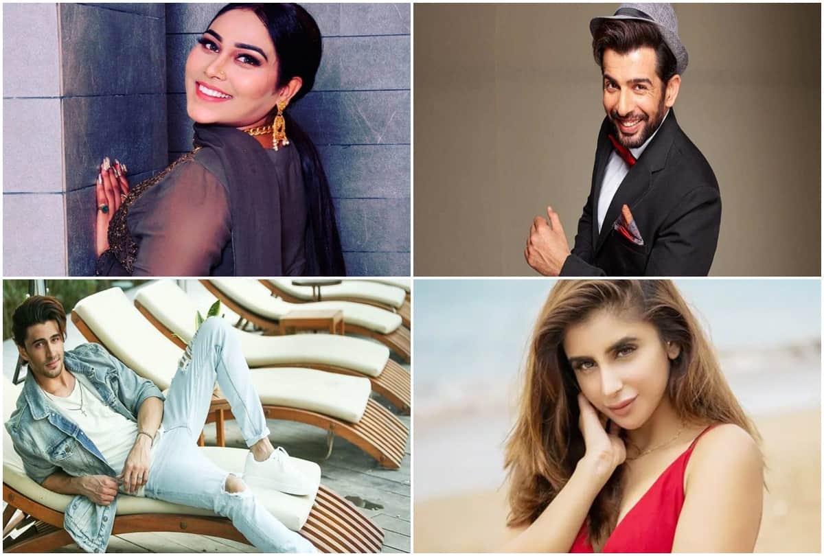 Fake Contestants of Bigg Boss 15: Fans are unhappy with the performance of these members of the house