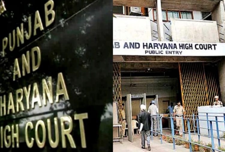 Punjab-Haryana High Court granted bail to Accused in NDPS case
