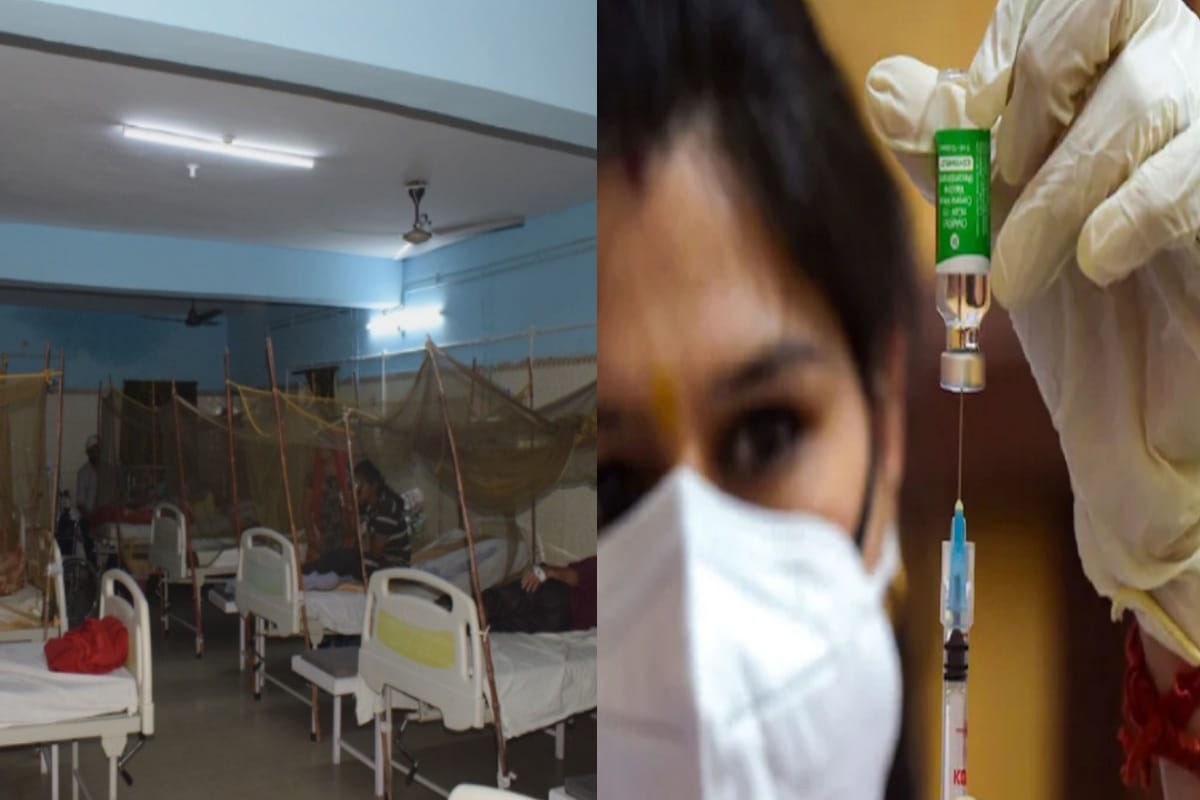 Social welfare officer died before dengue, 16 new cases found