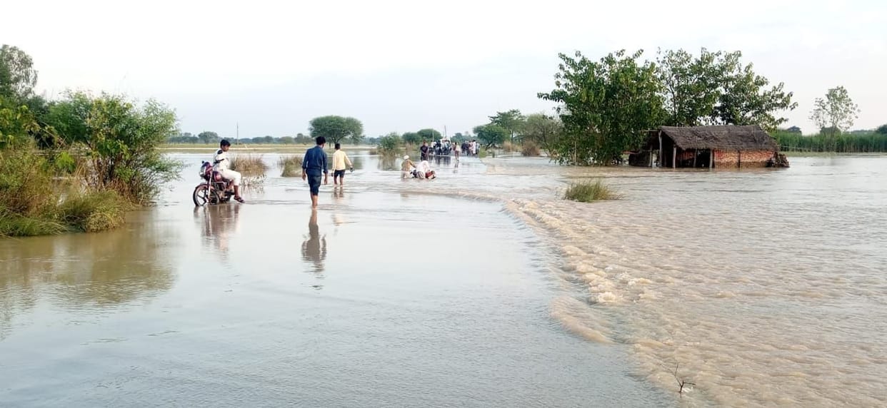 Paddy crop started rotting in the field, farmers are helpless