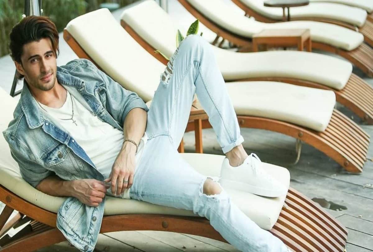 Bigg boss 15 Miesha and Ieshaan love story gained popularity now both are eliminated from the show