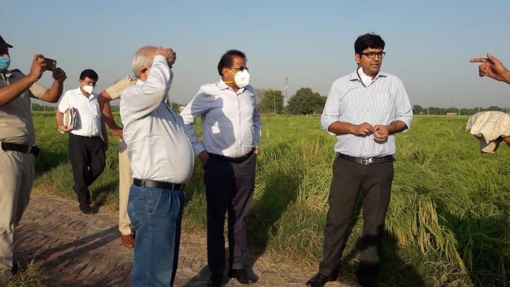 The commissioner of Hisar division went to the fields and saw the crops damaged due to rain