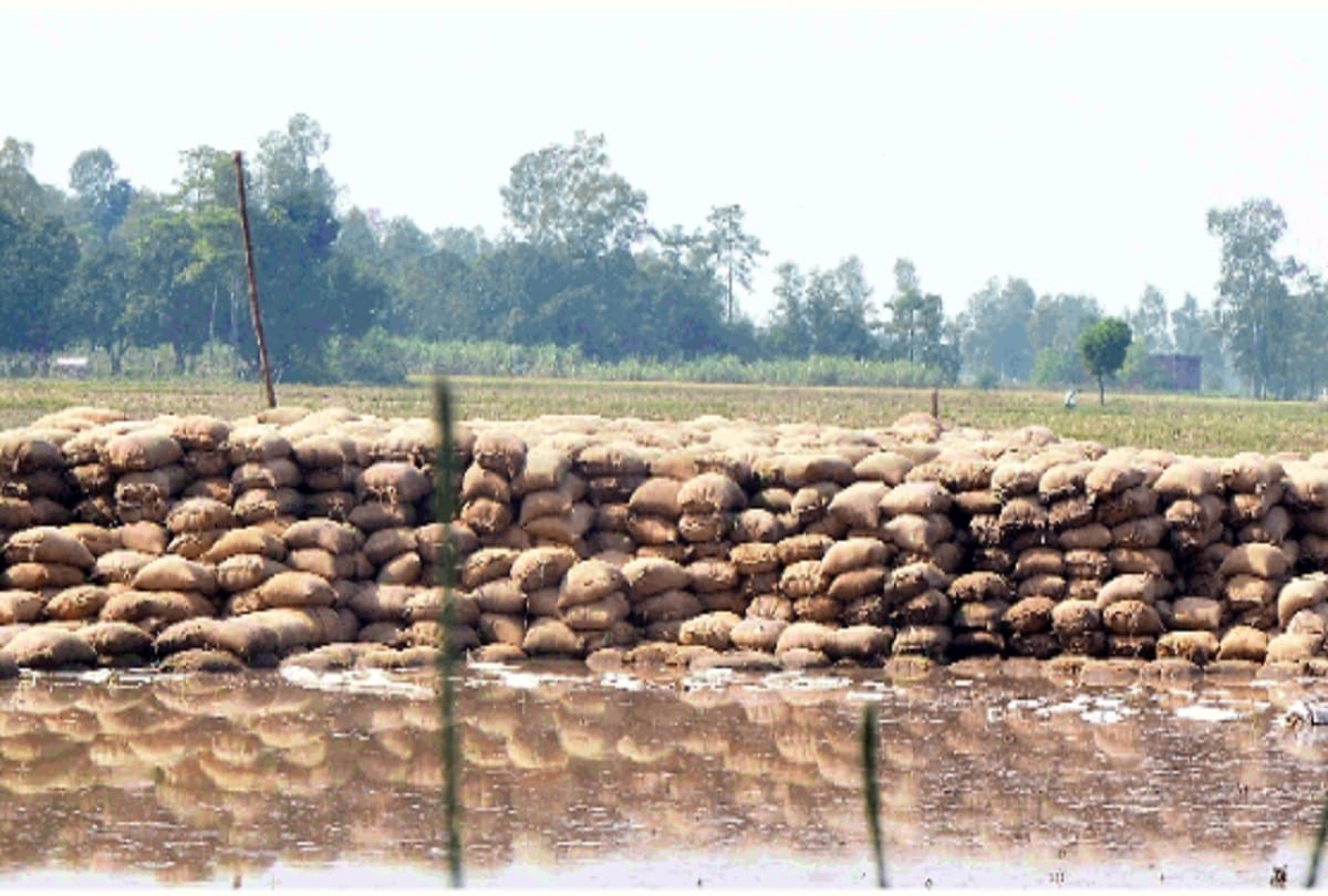 Pilibhit UP Weather News flood all around two farmers stuck in between water all around saved by villagers