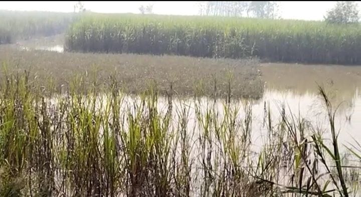 Khanpur-Brahmapur road shedding tears of misery