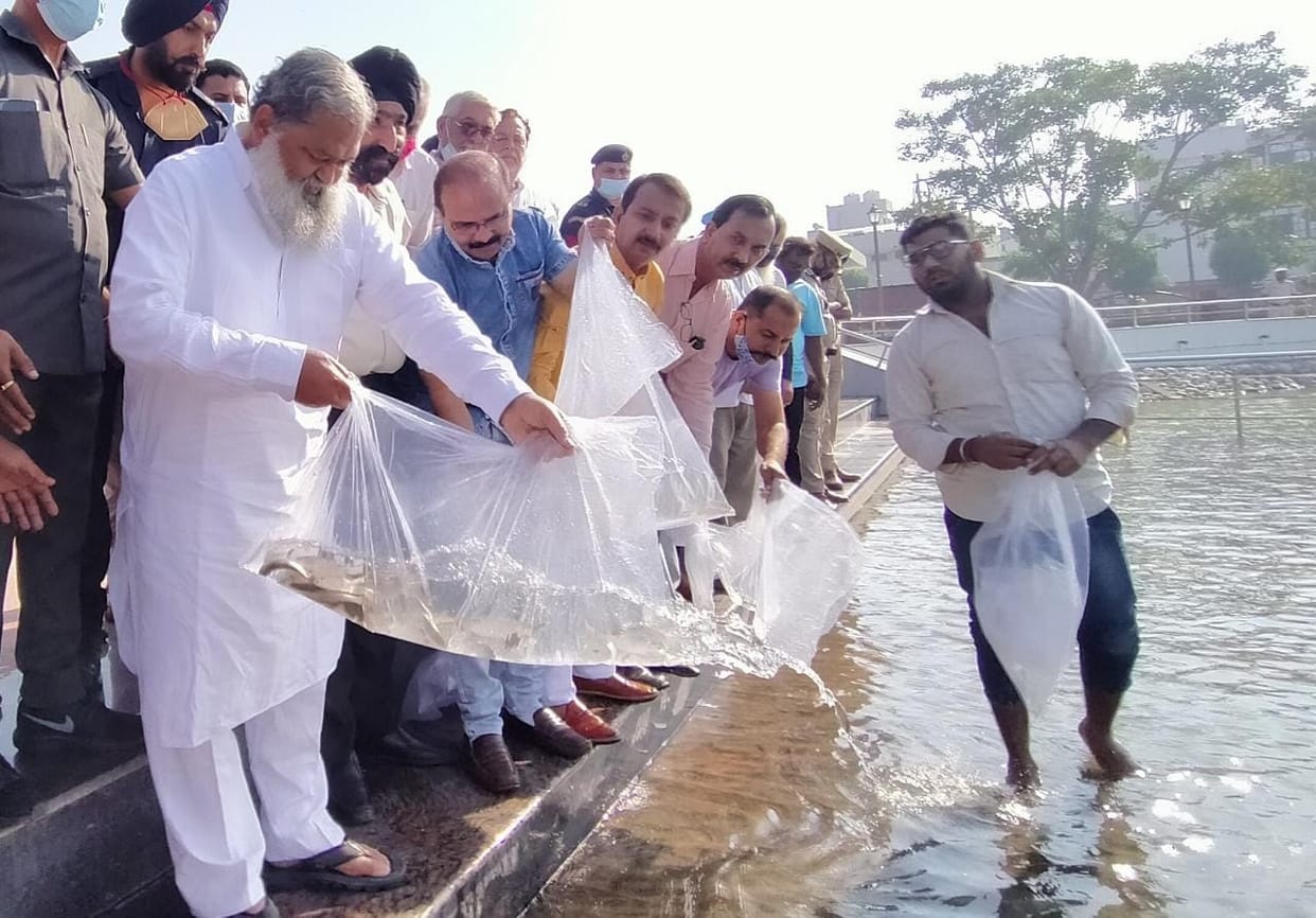 Colorful fish will enhance the beauty of the lake in Subhash Park