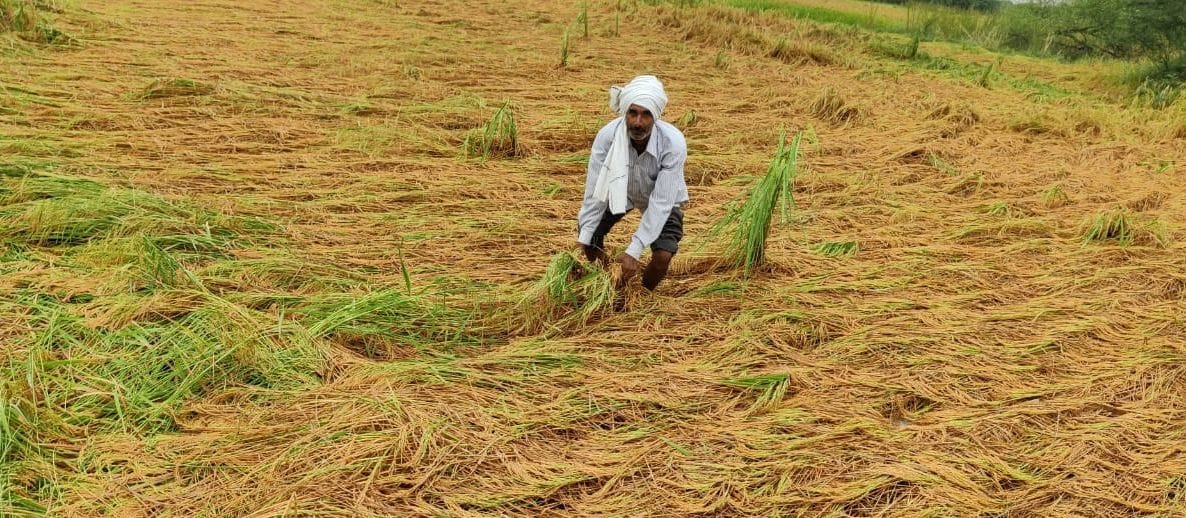 fathepur news,The owner will get help, but what about the sharecropper...