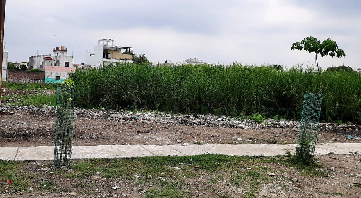 The municipal corporation retreated after showing a dream