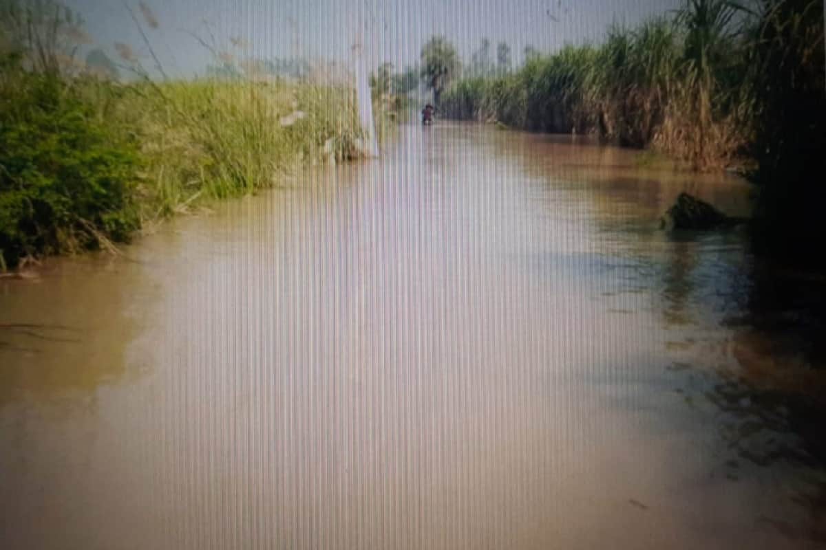 Bijnor ground report: There has been heavy damage to crops due to rain and floods in the district and see photos