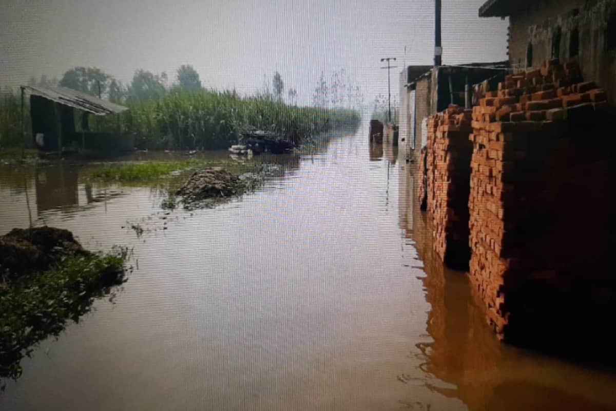 Bijnor ground report: There has been heavy damage to crops due to rain and floods in the district and see photos