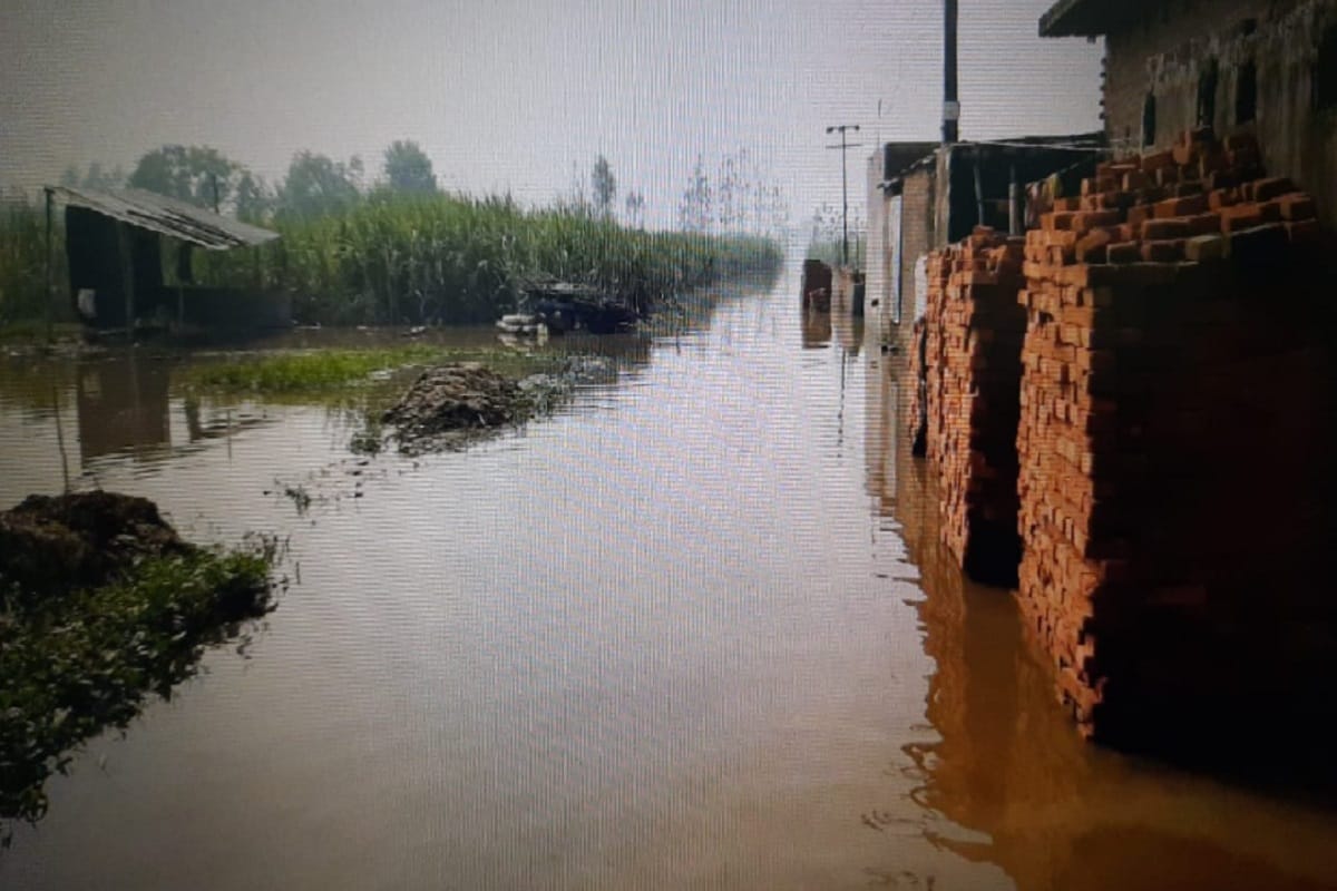 Bijnor ground report: There has been heavy damage to crops due to rain and floods in the district and see photos