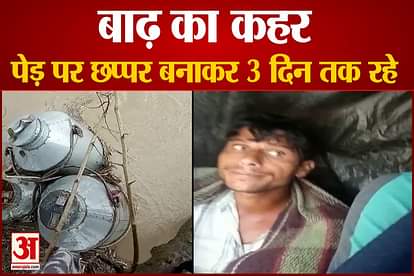 Uttar Pradesh flood Villagers saved lives by spending 3 days on a tree in Pilibhit
