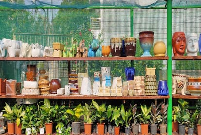 After recovering from the Corona crisis, people are planting plants of mythological importance in their homes, so that the disaster remains away