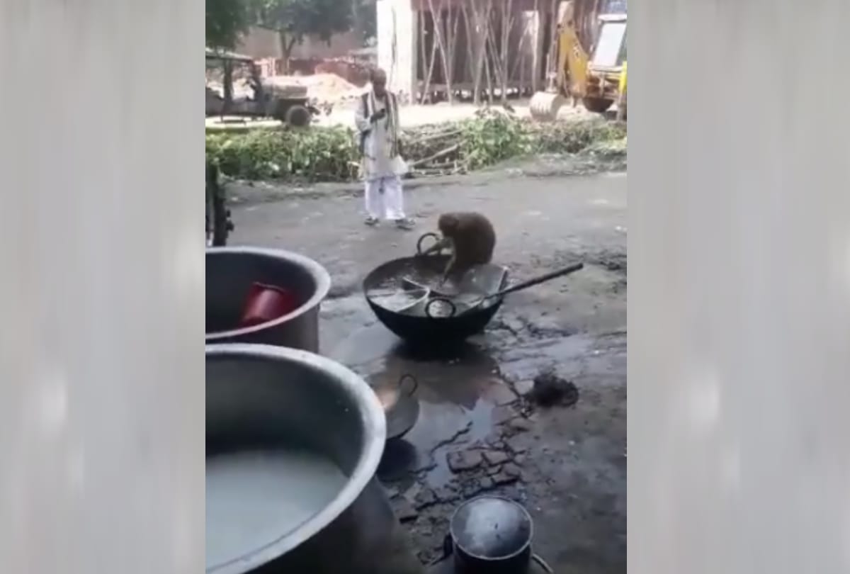 A monkey was washing pots in a hotel in Amethi.