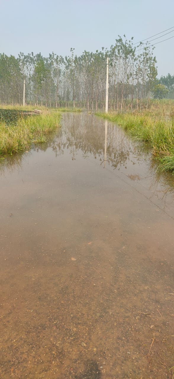 Damage to fishermen due to rain