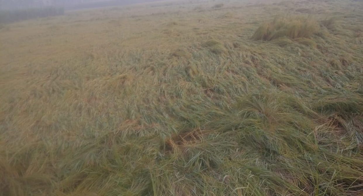 Water level of Ganga barrage decreased, farmers breathed a sigh of relief