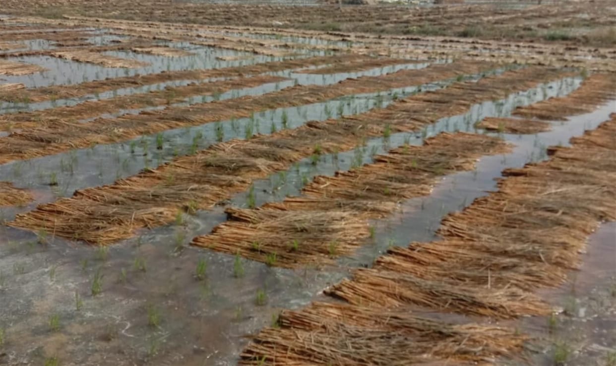 Hathras: Water is still full in the fields, the administration is assessing the damage