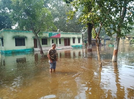 Dudhwa: Flood water filled a large part of the forest including three range complexes