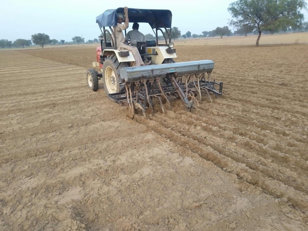 Rain spoiled the sowing of mustard