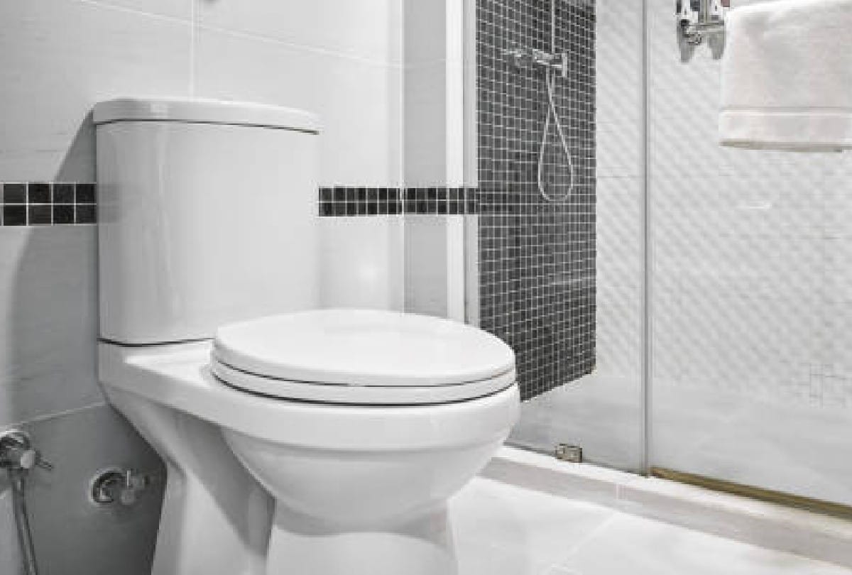 American woman turns millionaire cleaning peoples dirty toilets house cleaning job