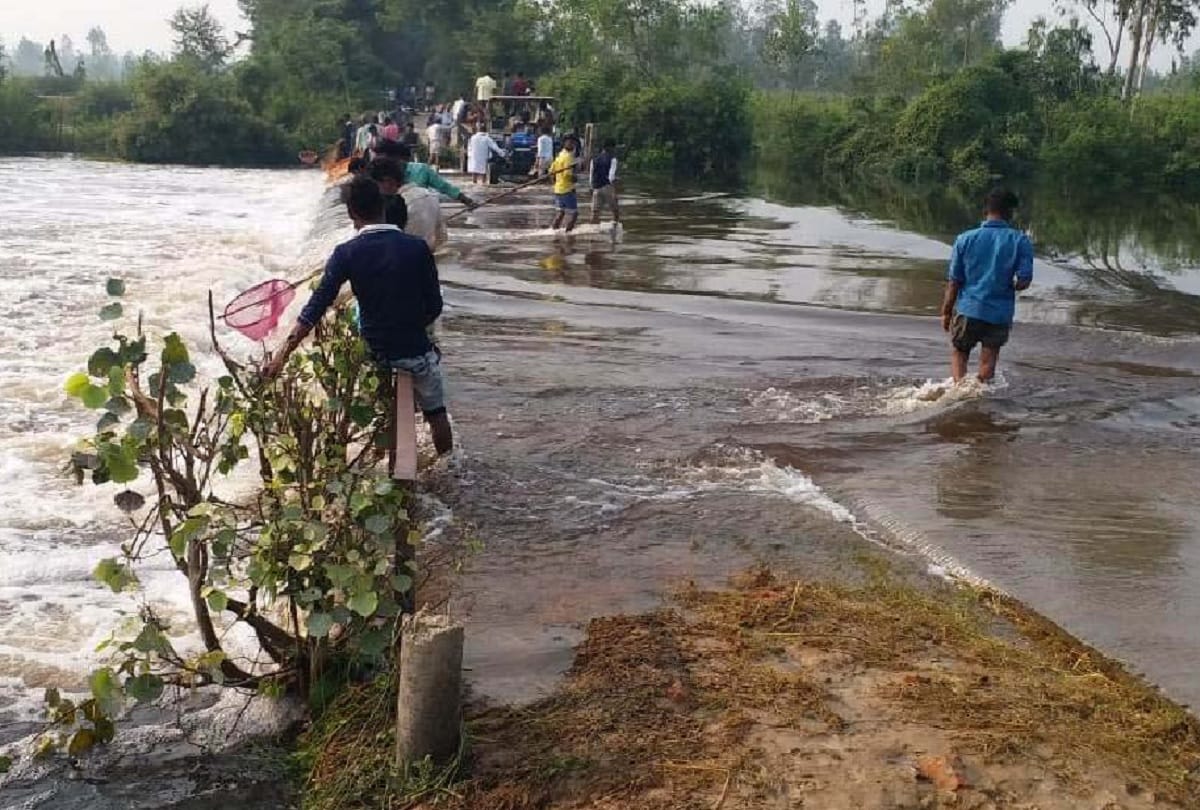 floods in pilibhit Six people climbed a tree to save their lives Saved after 74 hours see photos