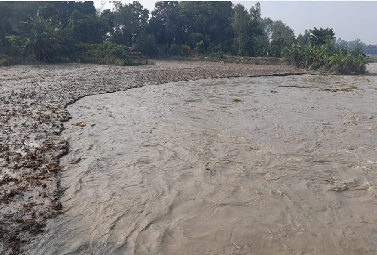floods in pilibhit Six people climbed a tree to save their lives Saved after 74 hours see photos