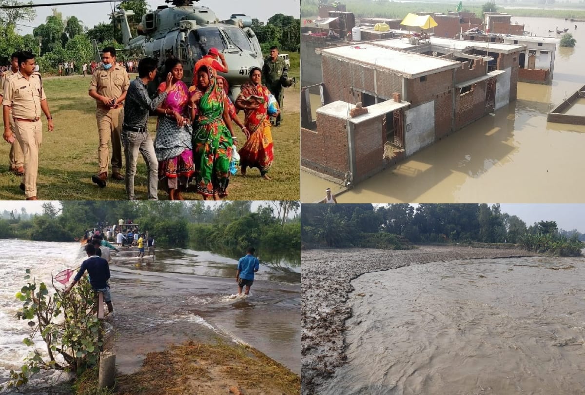 floods in pilibhit Six people climbed a tree to save their lives Saved after 74 hours see photos