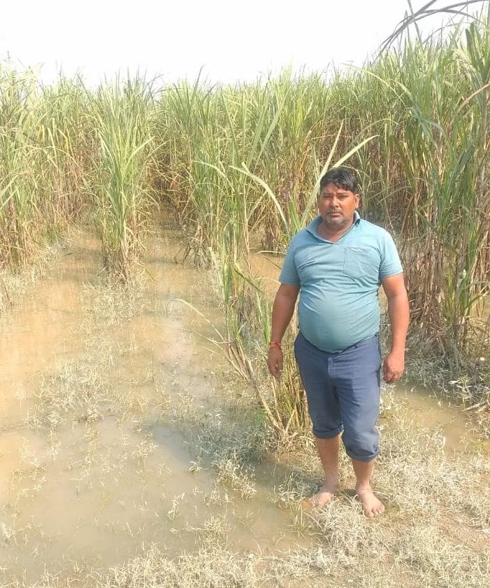 Crops ruined by floods, hundreds of bighas of vegetable crops washed away