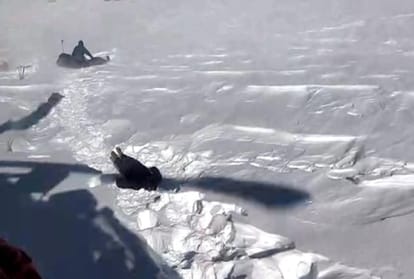 पर्यटकों के शव मिले