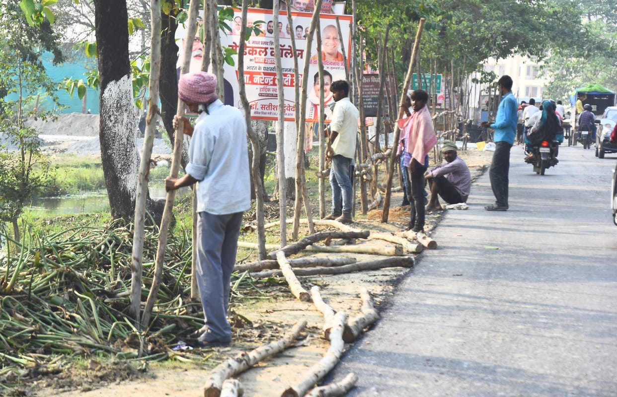 Verification of workers, workers engaged in program preparation