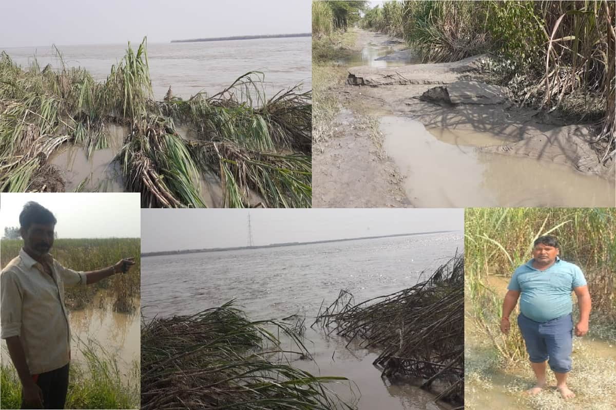 Crops have been ruined by rain and floods in western UP villages and see photos